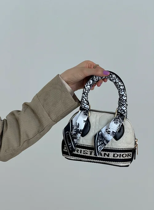 کیف Dior